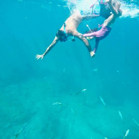 Meet your Posher, George - Picture 1 of 1